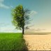 DOĞA HABER - NATURE NEWS. (@doga_h2024) Twitter profile photo DOĞA HABER - NATURE NEWS. (@doga_h2024) Twitter profile photo