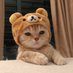 if (@jhwhatif) Twitter profile photo if (@jhwhatif) Twitter profile photo