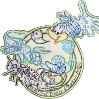 BEAP Lab (Biology & Ecology of Abundant Protists) (@beaplab_ibe) 's Twitter Profile