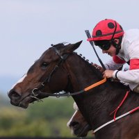 The 119 Partnership (@119partnership) 's Twitter Profile Photo