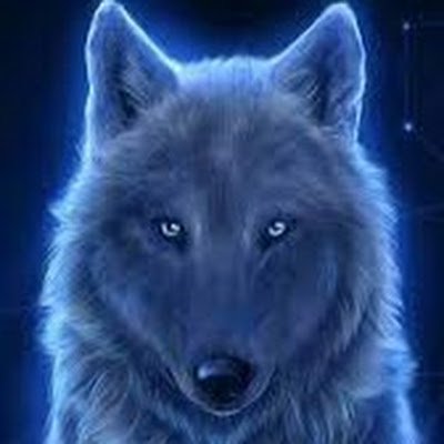 Gabriel40592551's profile picture. 