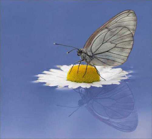 capuccino_1's profile picture. medical field