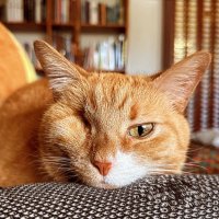 Nick Richardson Photography (@nicknrichard) 's Twitter Profile