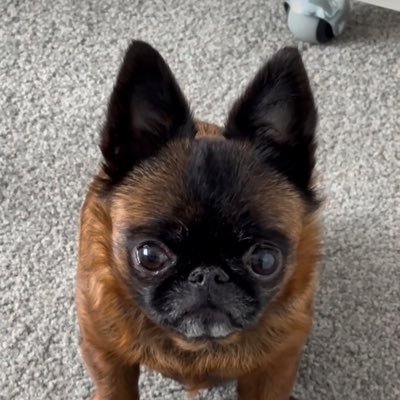 Carlitos_MX's profile picture. Me gusta el arte, la aviación, la moda entre otras cosas.