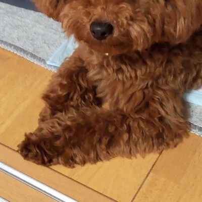 bjUMNpzLcd58996's profile picture. 