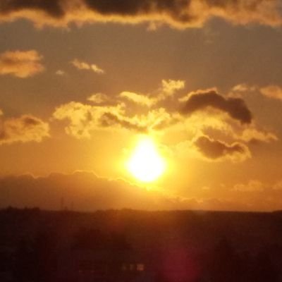 osuni41530's profile picture. 