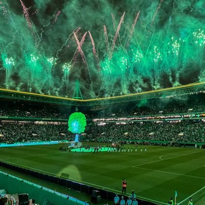 Patrickpierre95's profile picture. Sporting 💚🦁
🇫🇷🇵🇹
✈️🌍🌎