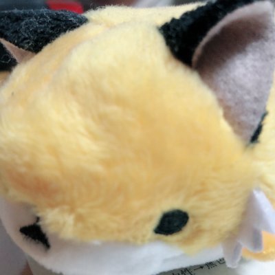 salieri_nk's profile picture. かわいいとかっこいいの融合が好きです