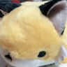 salieri_nk's profile picture. かわいいとかっこいいの融合が好きです