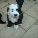 Trevor Joy - @JoyTrevor - Twitter