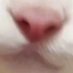 .... (@1ddh45) Twitter profile photo .... (@1ddh45) Twitter profile photo