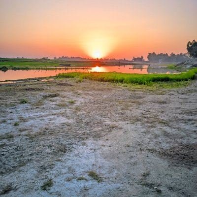 AlyaMammadova_x's profile picture. 。