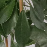 Emre (@emre80988041) 's Twitter Profile Photo Emre (@emre80988041) 's Twitter Profile Photo