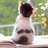 ar4love's profile image