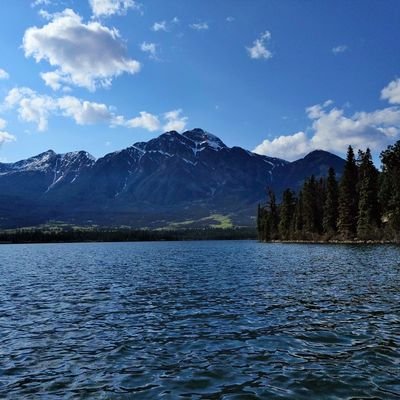 DavidKiperman's profile picture. A man just trying to make a go of things.