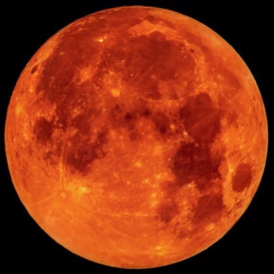 antisanguine's profile picture. “It’s not vampire, it’s sanguine!” | not caught up on COI | lotm, orv, lcf, ehh just webnovels n manhwas in general lessgo