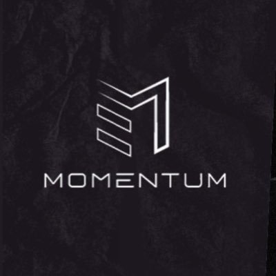Momentum Sports Pickleball Paddles - USAPA Approved - High End Toray T700 Carbon Fiber Paddles
