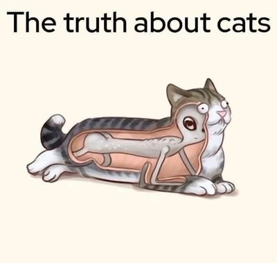 Mustaph66417954's profile picture. 