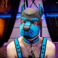 Usko (@uskopup) 's Twitter Profile