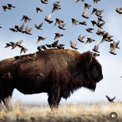 East4thSt_Ideas's profile picture. Commentary. Ideas. Not Financial Advice. Believe In Something.