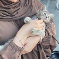 Tanzil (@videl_pv) 's Twitter Profile