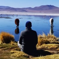 Ftephan (@sr88138040) Twitter profile photo