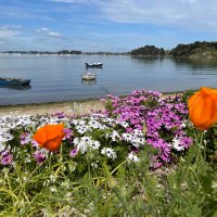 Mickael Chaillou (@mickachail) 's Twitter Profile