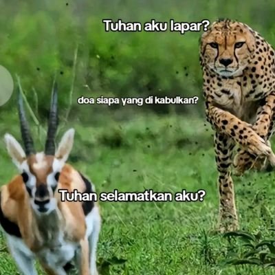 nikmatin hidup gak usah usil sama orang lain | belum tentu dirimu lebih mulia,dan belum tentu sedekahmu melebihi orang lain