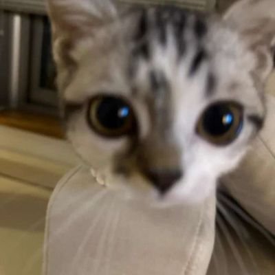 bien1O's profile picture. o ano na naman