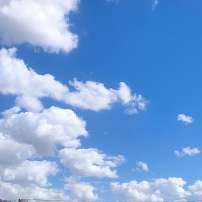 LucasRMira93731's profile picture. só por distração - boys just wanna have fun