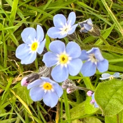 Consultant Old Age Psychiatrist @NHS. All views are my own. Retweets do not equal endorsements.