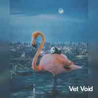 Vet Void (@void_ve) 's Twitter Profile