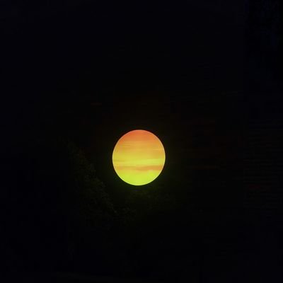 li6835309167967's profile picture. 