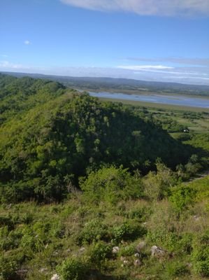 CitmaFlore40931's profile picture. Especialista del CITMA en el municipio de Florencia