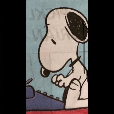 southofaustin's profile picture. 