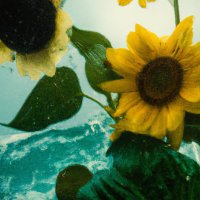 literally the actual Errorgardener (@404grdn) 's Twitter Profile Photo literally the actual Errorgardener (@404grdn) 's Twitter Profile Photo
