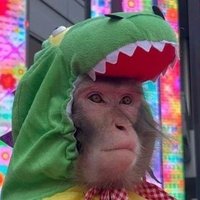 Human⚒️ 🐒💨 (@rikfoster1) 's Twitter Profile Photo