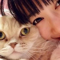 ももパグ (@pugkenmc) Twitter profile photo