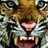 LSU_Sports_News's profile image