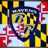 RavensFlockCapt's profile picture. EMT/Firefighter

Ultimate Ravens Fan






















































#RavensFlock #Os #UMTerps #Capitals #Wizards