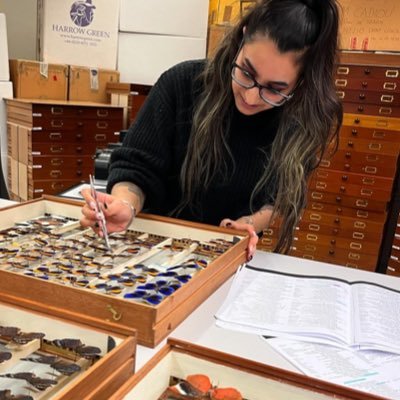 ACCE PhD Wing colour & nanostructure in thermal adaptation of tropical butterflies @sheffielduni/@NHM_London 🦋Natural history enthusiast, books & bugs, she/her