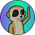 MEERK (@meerksolana) Twitter profile photo MEERK (@meerksolana) Twitter profile photo
