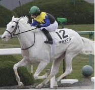 march888's profile picture. 