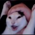 pepper🐾 burnout (@kpepp3rs) Twitter profile photo pepper🐾 burnout (@kpepp3rs) Twitter profile photo