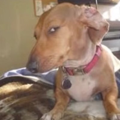 WASTINGMYENERGY's profile picture. 😁