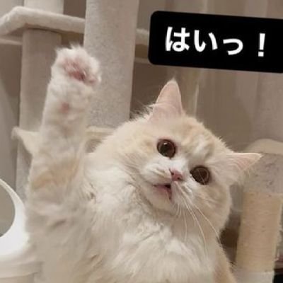 etusi3789's profile picture. 