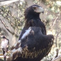 Michael (@mickleaver) 's Twitter Profile
