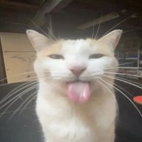 col (@socalledcol) 's Twitter Profile