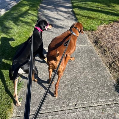 JustinMullis's profile picture. 