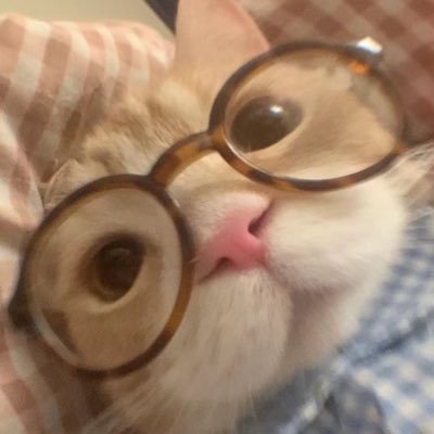 jiajia 🤍さんのプロフィール画像
